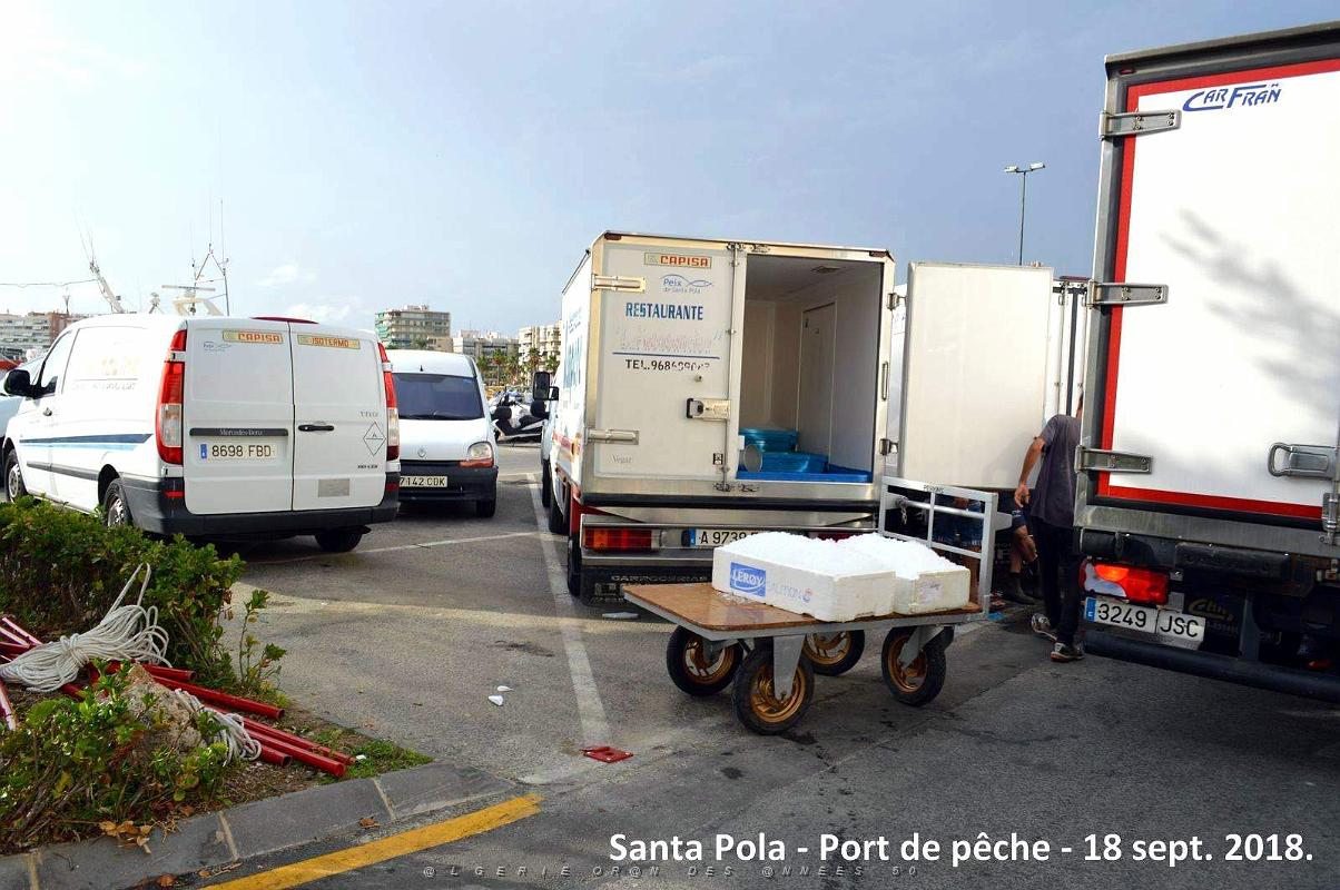 11 SANTA POLA PORT DE PECHE (131).JPG